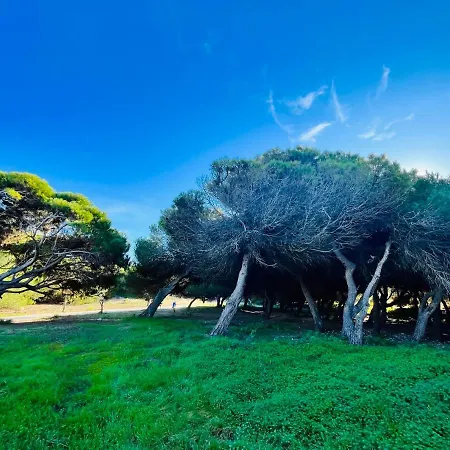107 Siete Sentidos La Mata (Torrevieja)